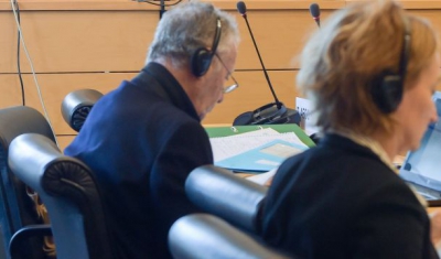 Session of a UN Treaty Body