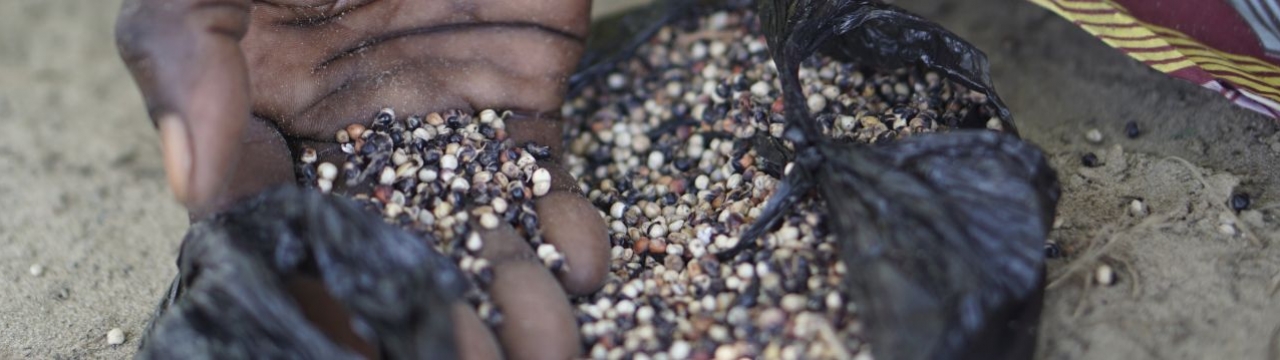 Lake Chad, Fourkouloum village. When she is unable to sell her stock of wood, this woman and her family can spend weeks eating only sorghum seeds.