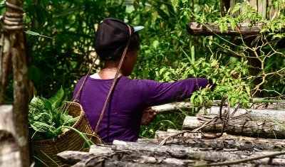 A woman working in agriculture