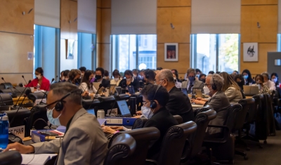 136 session of the UN Human Rights Committee