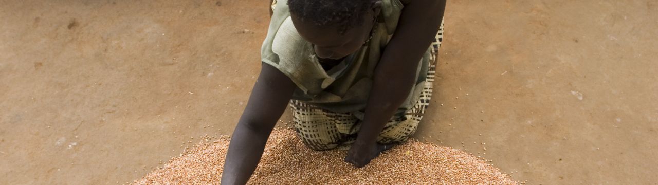 Woman drying beans on the ground