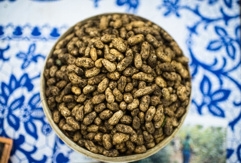 eanuts (Arachis hypogaea), Lekié, Center Region, Cameroon. 