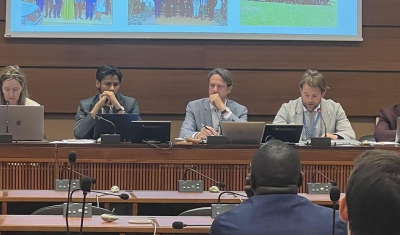 Final Report of the Treaty Body Follow-Up Review Pilot Series