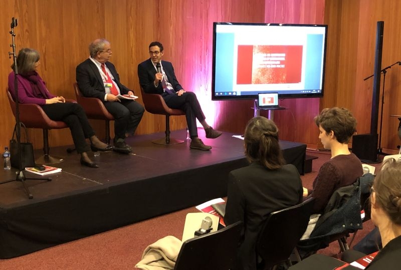 Presentation of the Guidelines at the 2019 Conference of the Red Cross and Red Crescent