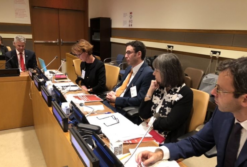 Presentation of the Guidelines in New York